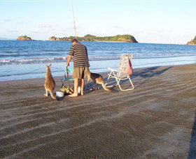 Habana QLD eAccommodation