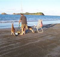 Cape Hillsborough National Park - eAccommodation