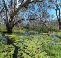 Macquarie Valley Trails - eAccommodation