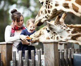 Taronga Western Plains Zoo, Dubbo - eAccommodation 0