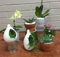Cobram Florist - eAccommodation