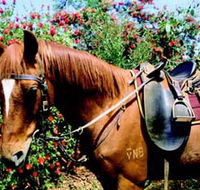 Western Plains Riding Centre - eAccommodation