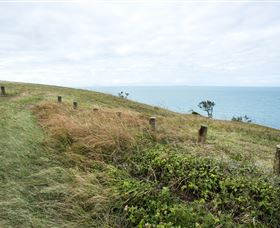 Cape Palmerston National Park - eAccommodation 3