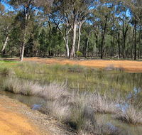 Beni State Conservation Area - eAccommodation