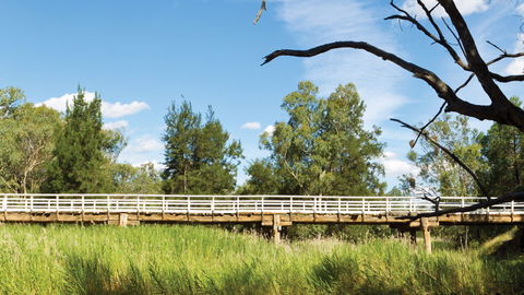 Pilliga National Park - eAccommodation 3