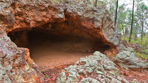 Pilliga National Park - eAccommodation 1