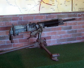 Woodpecker Gun - eAccommodation 0