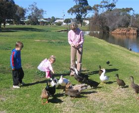 Roy Little Park Merredin - eAccommodation 0