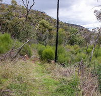 Lynchs loop trail - eAccommodation