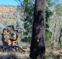 Eualdrie walking track - eAccommodation