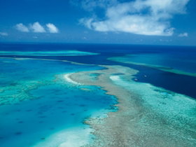 Fairey Reef - eAccommodation 2