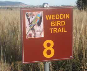 Weddin Bird Trails - eAccommodation 0