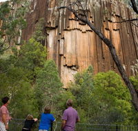 Sawn Rocks walking track - eAccommodation