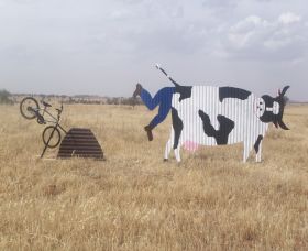 Animals On Bikes - eAccommodation 1