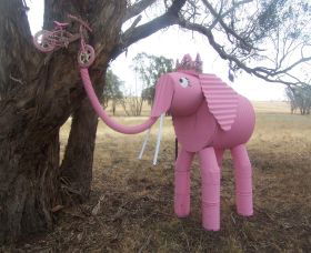 Animals On Bikes - eAccommodation 2