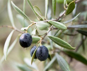 Wollundry Grove Olives - eAccommodation 2