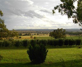 Wollundry Grove Olives - eAccommodation 1