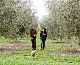 Wollundry Grove Olives - eAccommodation 3