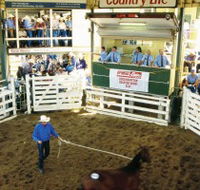 Gracemere Exhibition Complex - eAccommodation