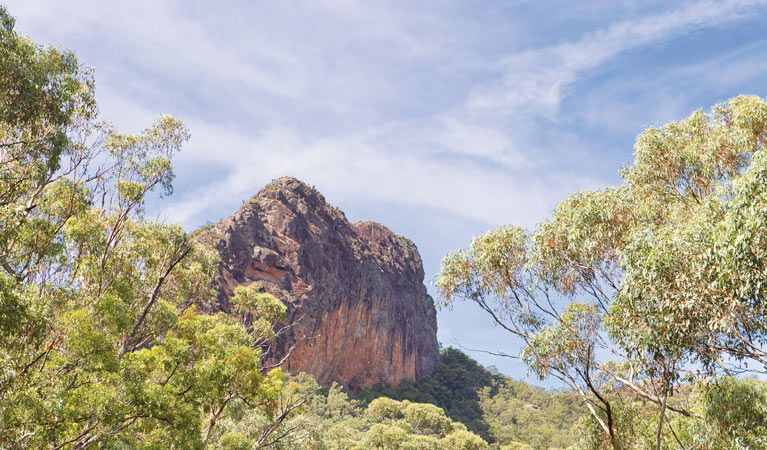 Bullawa Creek NSW eAccommodation
