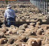 Livestock Marketing Centre - eAccommodation