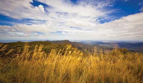 Mount Kaputar Summit Walk - eAccommodation 1