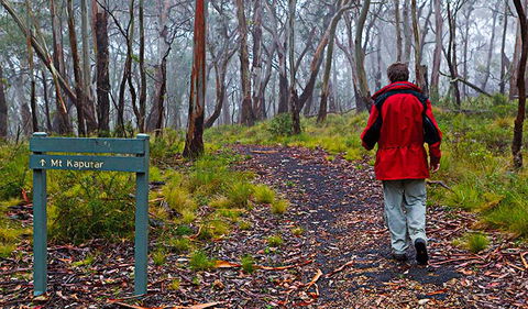Mount Kaputar Summit Walk - eAccommodation 2