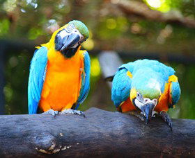 The Rockhampton Zoo - eAccommodation 2