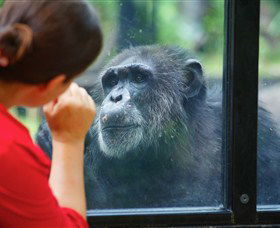 The Rockhampton Zoo - eAccommodation 0