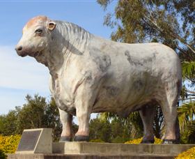 Rockhampton Bull Statues - eAccommodation 1