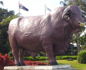 Rockhampton Bull Statues - eAccommodation 0