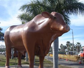 Rockhampton Bull Statues - eAccommodation 3