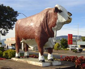 Rockhampton Bull Statues - eAccommodation 2