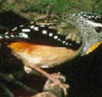 Reef Hills State Park - eAccommodation