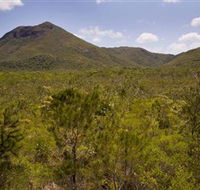Kutini-Payamu Iron Range National Park CYPAL - eAccommodation