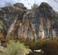 Borenore Karst Conservation Reserve - eAccommodation
