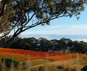 Bloodwood Estate - eAccommodation 0