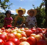 Bonny Glen Fruits - eAccommodation
