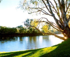 Albury - Murray River Precinct - eAccommodation 0