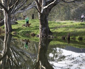 Albury - Murray River Precinct - eAccommodation 3