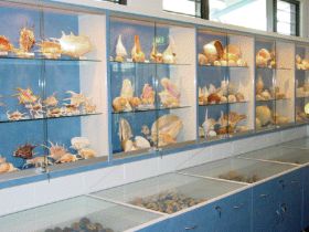 Shell World Yeppoon - eAccommodation 1