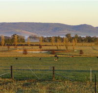 Holbrook Landcare Self-Drive Eco Tour - eAccommodation