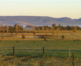 Holbrook Landcare Self-Drive Eco Tour - eAccommodation 0