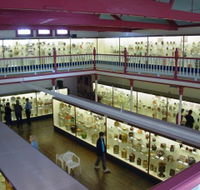 National Museum of Australian Pottery - eAccommodation