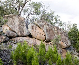 Frog Rock - eAccommodation 1