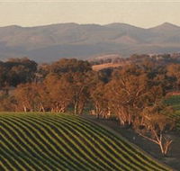Angullong Wines - eAccommodation