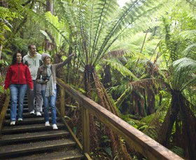 Beech Forest ACT eAccommodation