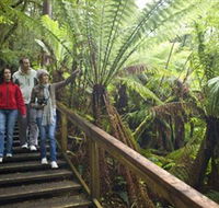 Otway Fly Treetop Adventures - eAccommodation