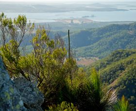 Mount Larcom Climb - eAccommodation 1