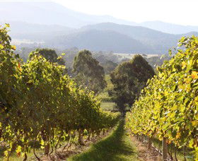 Pizzini Wines King Valley - eAccommodation 3